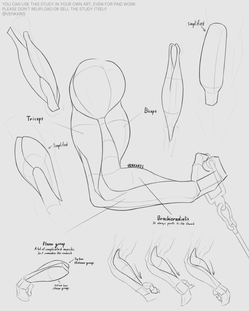arm study