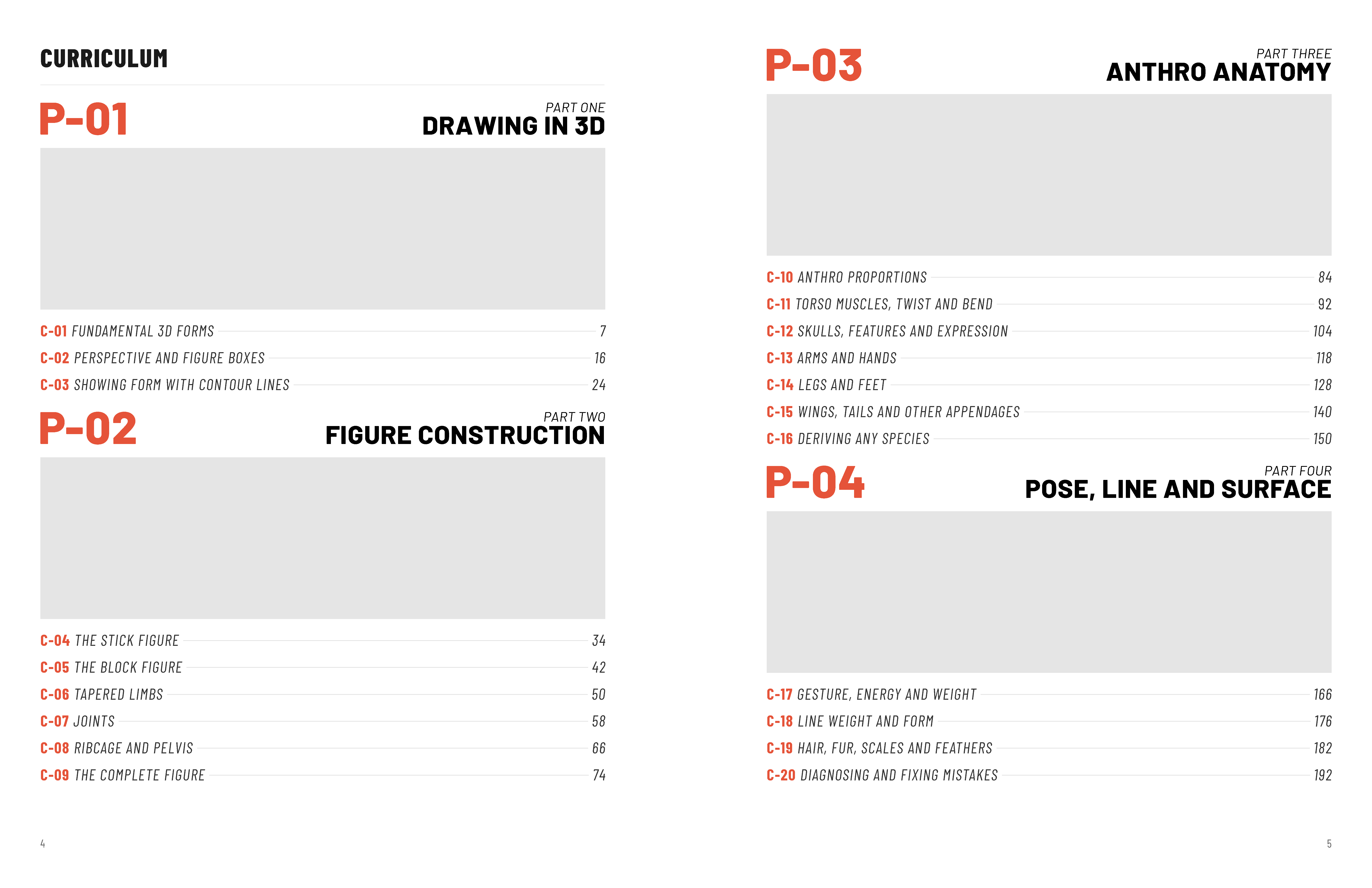 curriculum