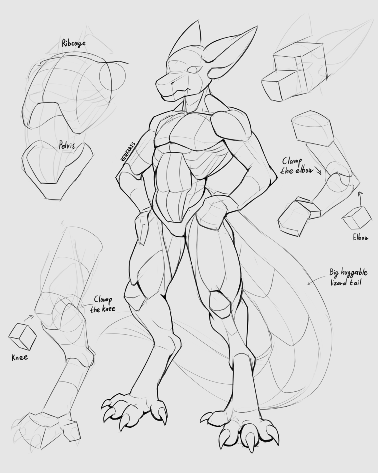 Body Construction Study