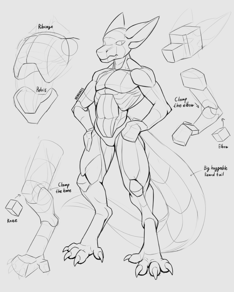 fullbody proportion study