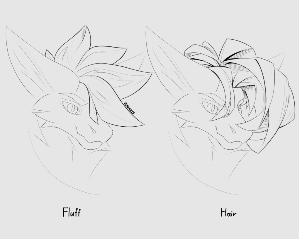 hair vs fur