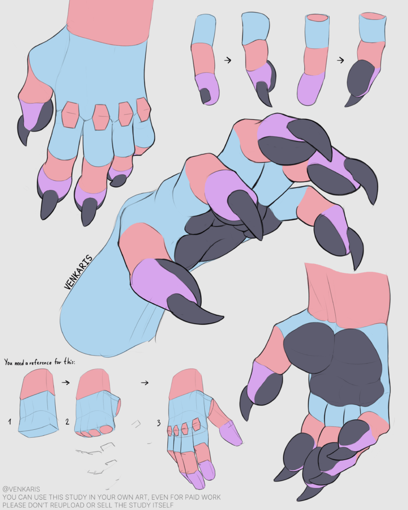hand paw study