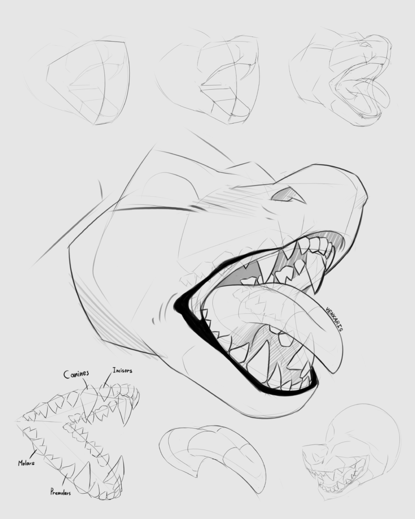 maw study