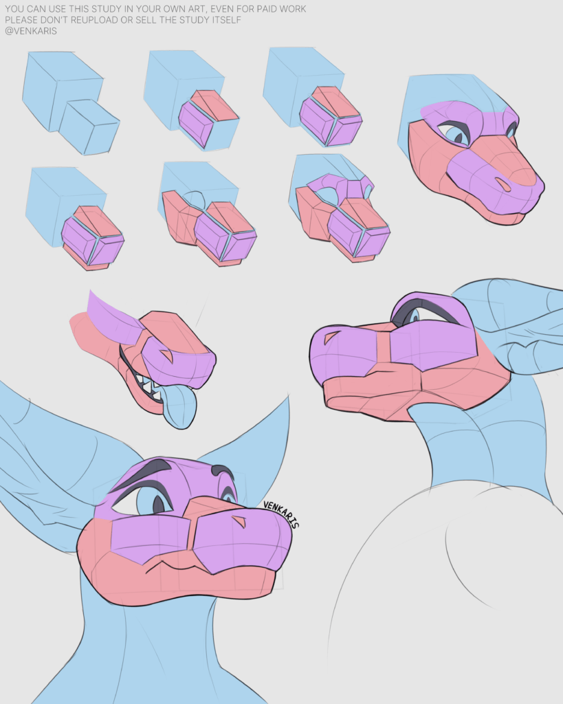 muzzle study