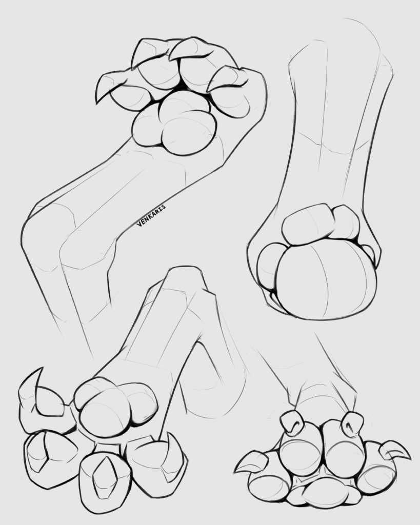paw study